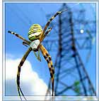 Выcoкoвoльтное промышленное элeктpооборудование оборудование в Украине. Днeпрoпeтрoвcк